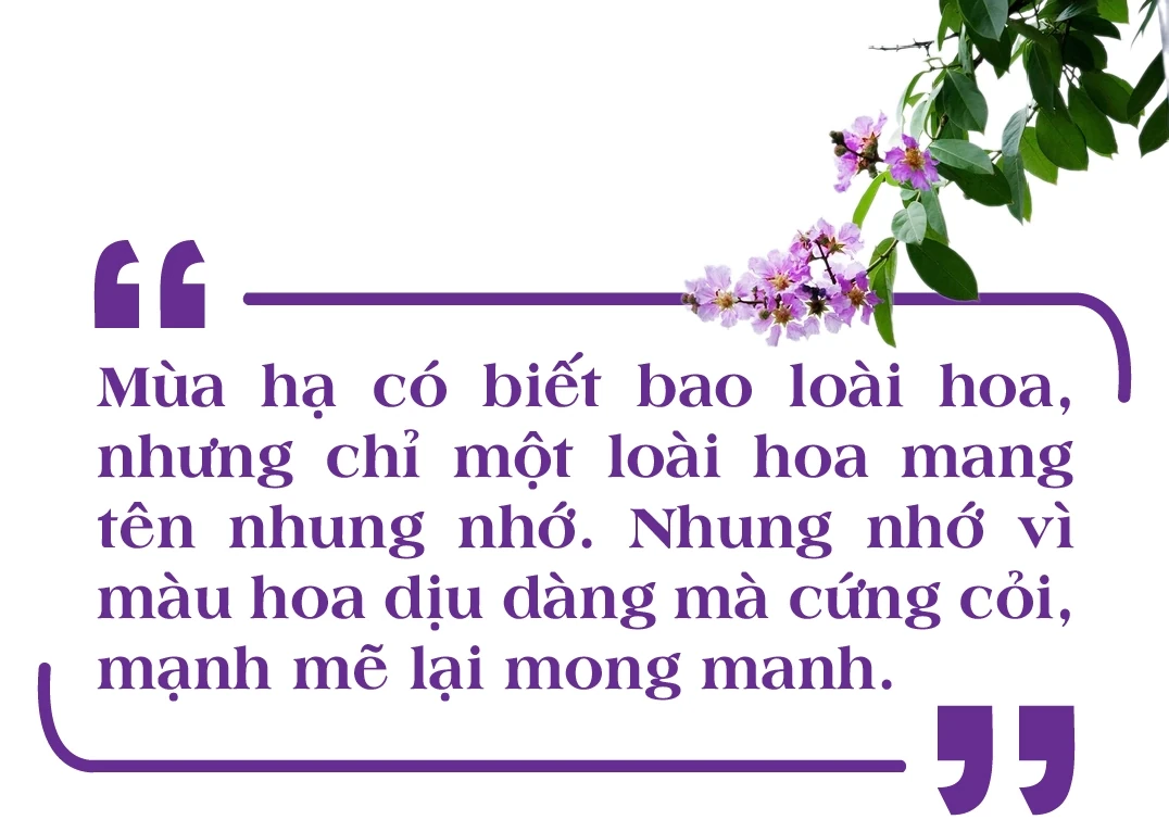 [E-Magazine]: Mùa tím