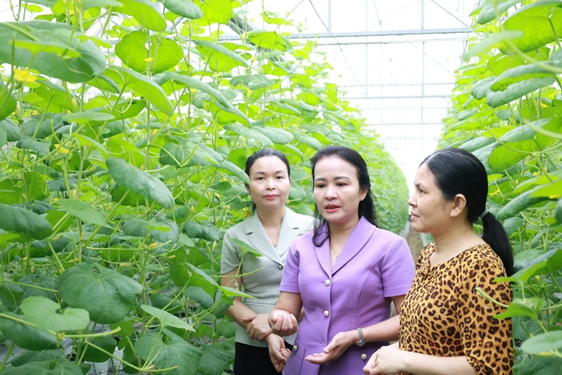Kiểm tra phát huy hiệu quả sử dụng nguồn vốn vay