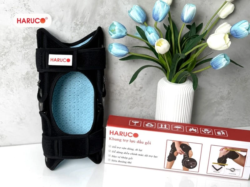 Đau khớp gối nên dùng gì? Gợi ý sản phẩm hỗ trợ từ Haruco