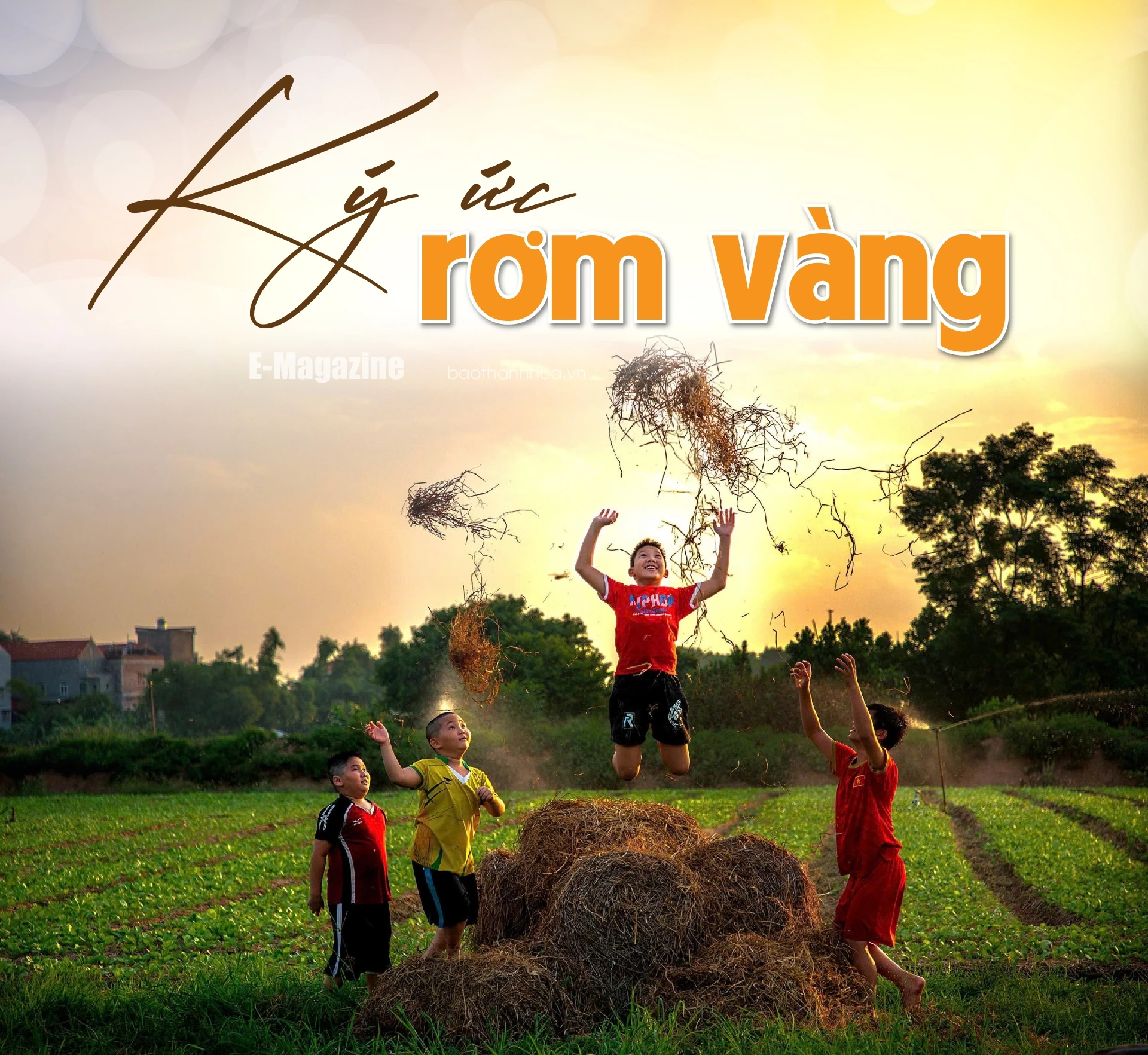 [E-Magazine]: Ký ức rơm vàng