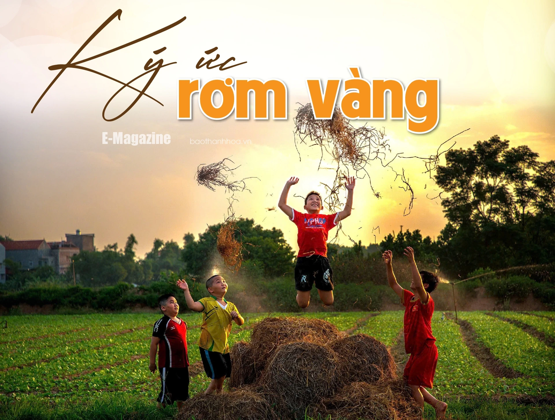 [E-Magazine]: Ký ức rơm vàng