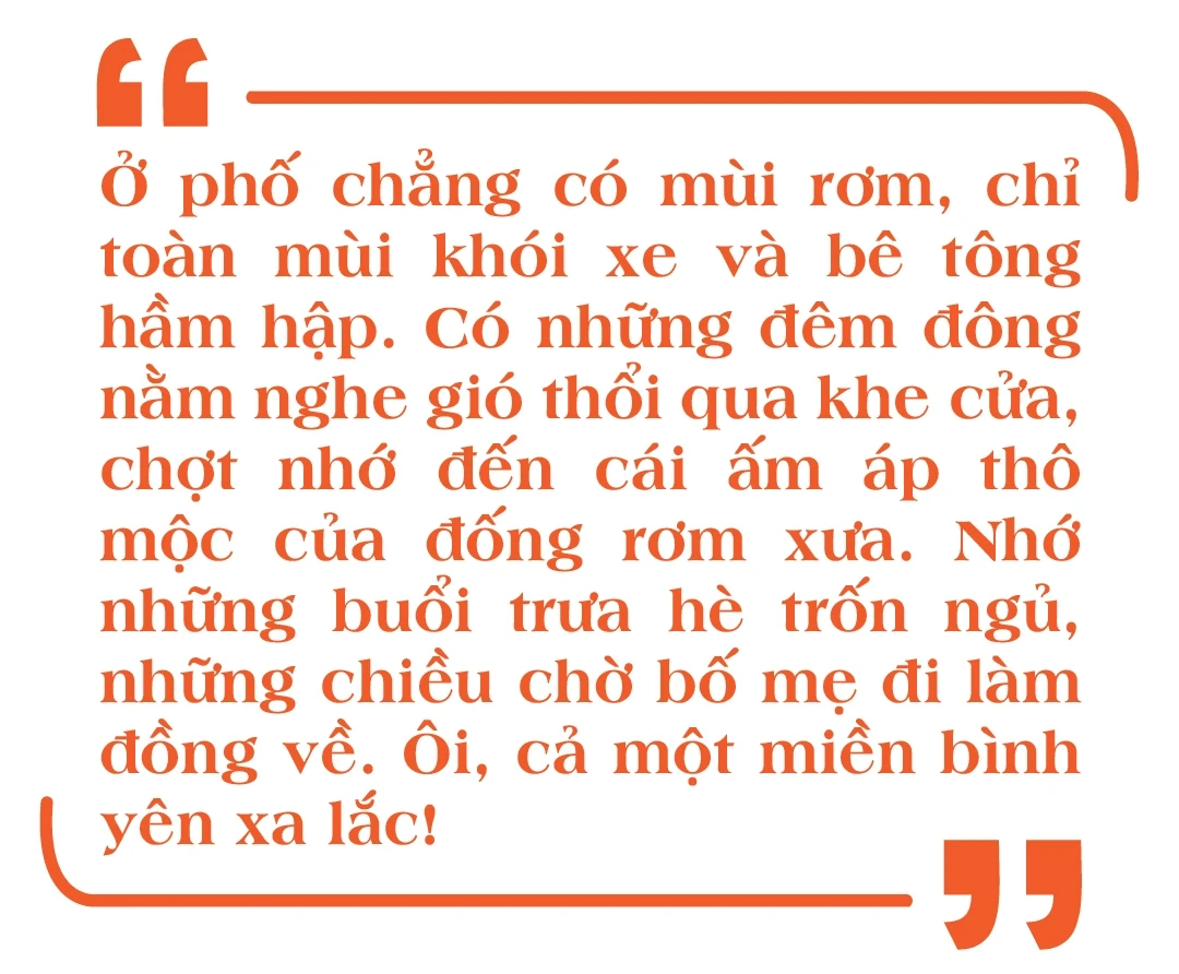[E-Magazine]: Ký ức rơm vàng