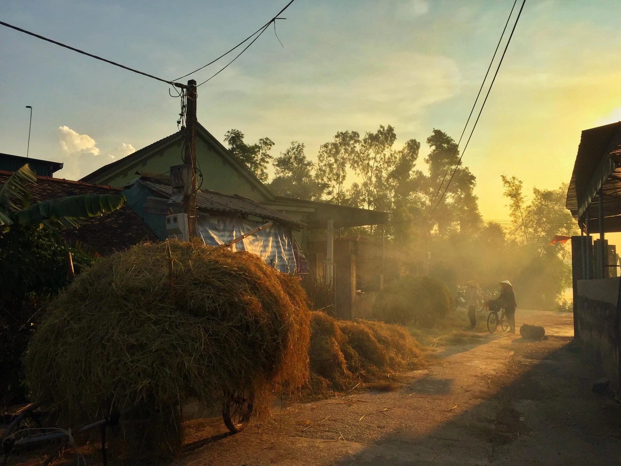 [E-Magazine]: Ký ức rơm vàng