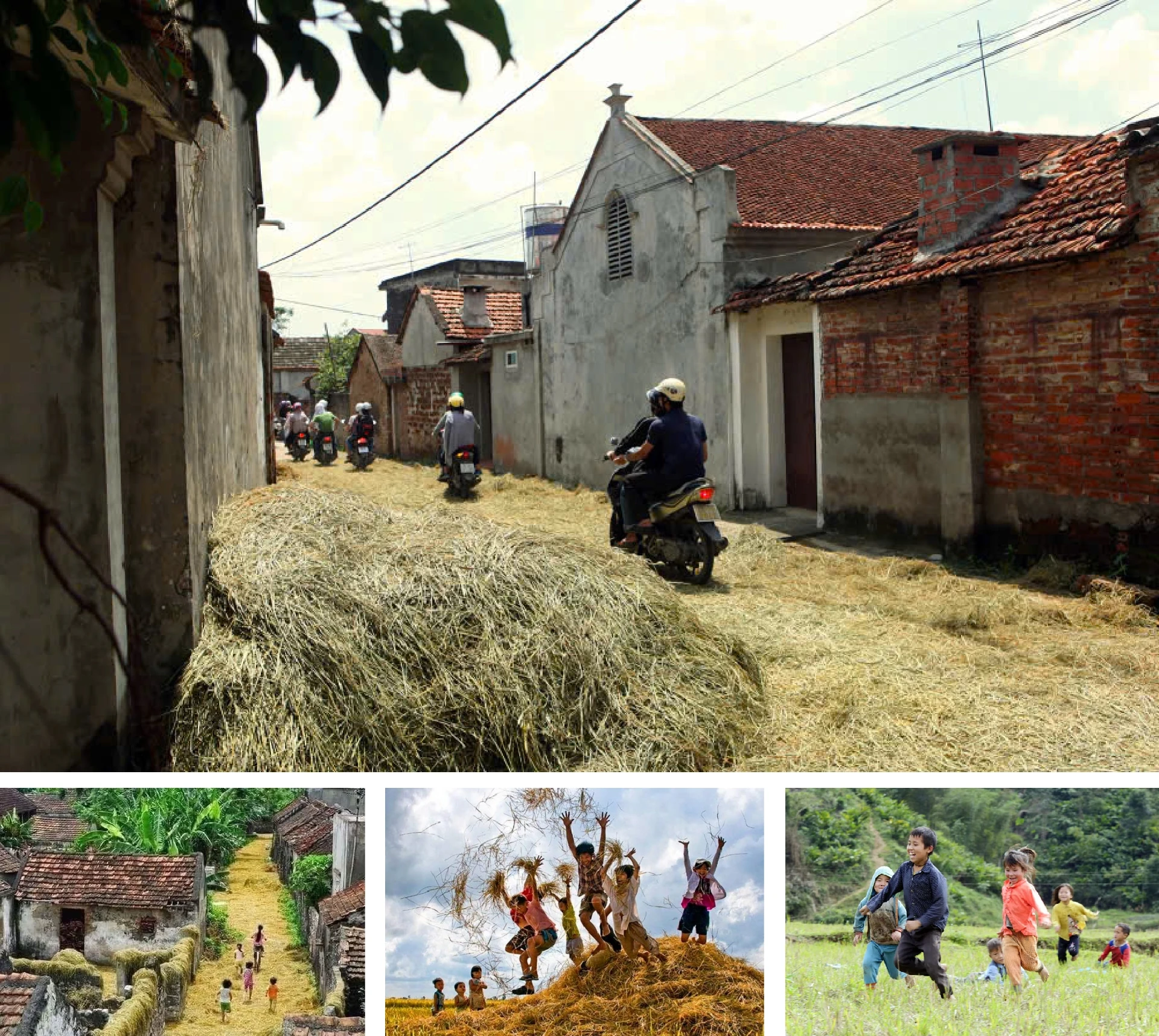 [E-Magazine]: Ký ức rơm vàng