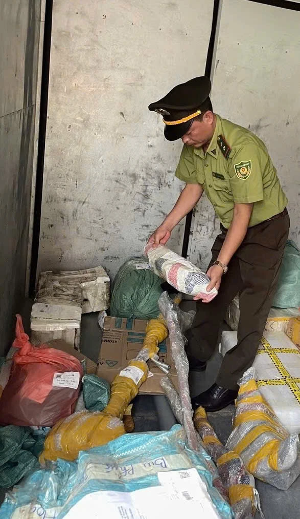 Xử lý nghiêm các hành vi khai thác, vận chuyển, mua bán cây muội hồng trái phép