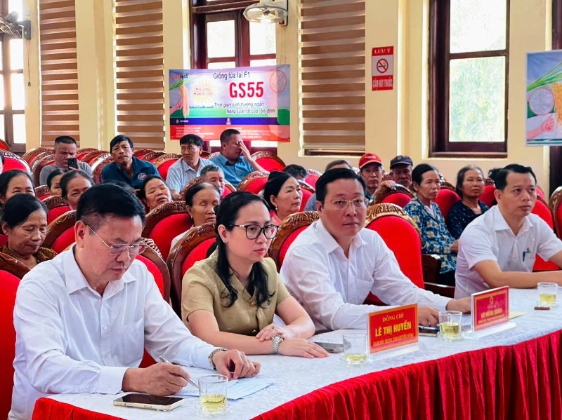 Hiệu quả giống lúa mới trên “cánh đồng công nghệ số”