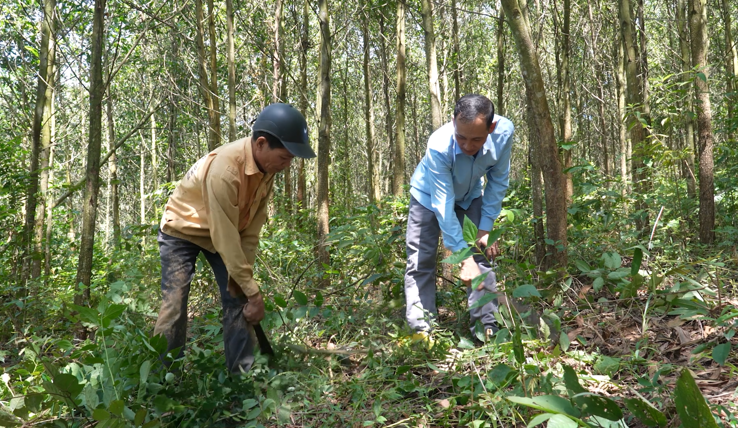 “Tai mắt” giữ rừng, ngăn cháy