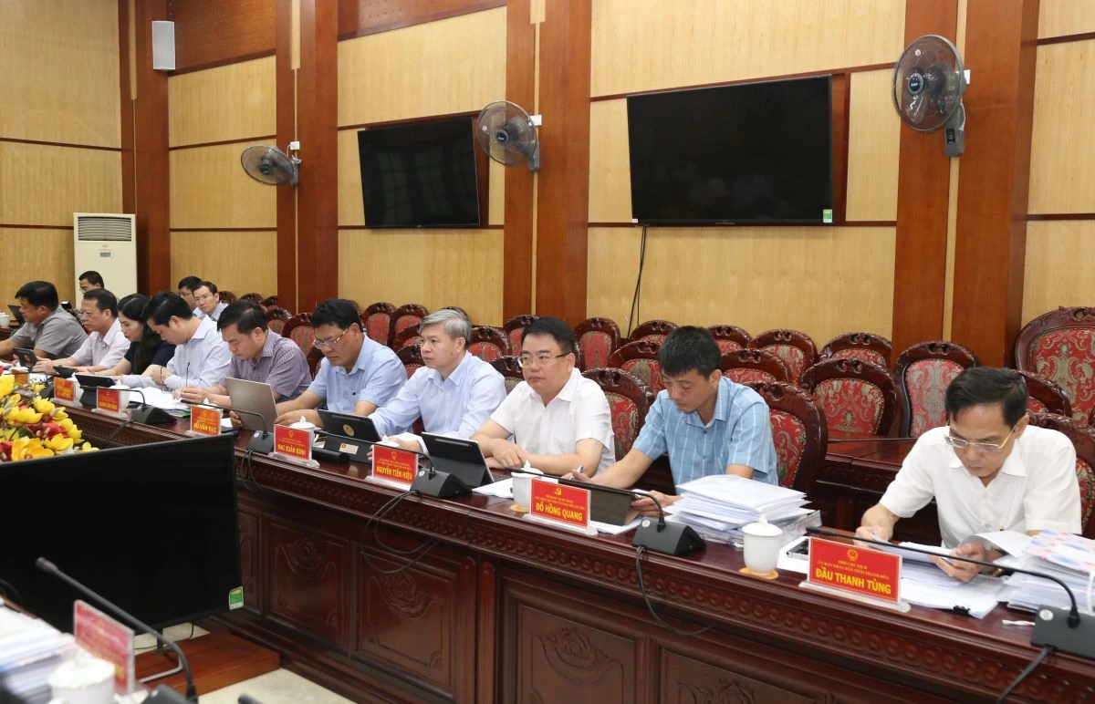 Thảo luận, cho ý kiến vào các chương trình, kế hoạch, chính sách thúc đẩy phát triển kinh tế - xã hội