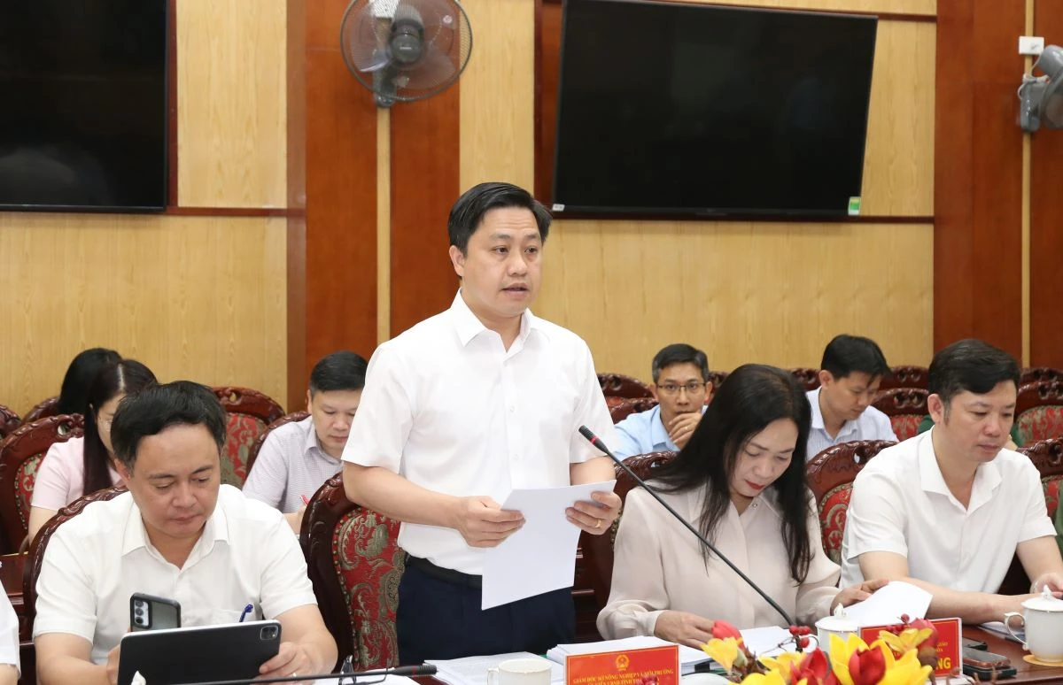Thảo luận, cho ý kiến vào các chương trình, kế hoạch, chính sách thúc đẩy phát triển kinh tế - xã hội