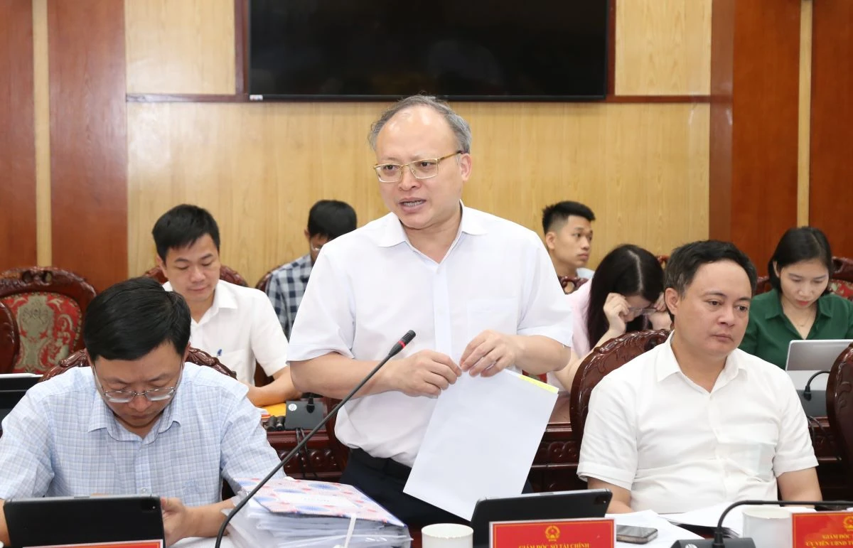 Thảo luận, cho ý kiến vào các chương trình, kế hoạch, chính sách thúc đẩy phát triển kinh tế - xã hội
