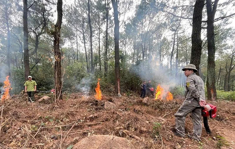 Sẵn sàng, chủ động mọi tình huống phòng, chống cháy rừng mùa nắng nóng