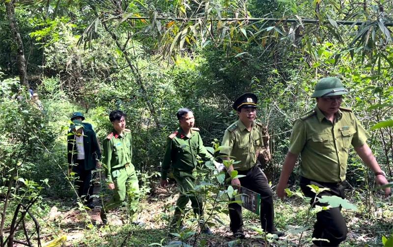 Phối hợp bảo vệ rừng, phòng cháy, chữa cháy rừng trên tuyến biên giới