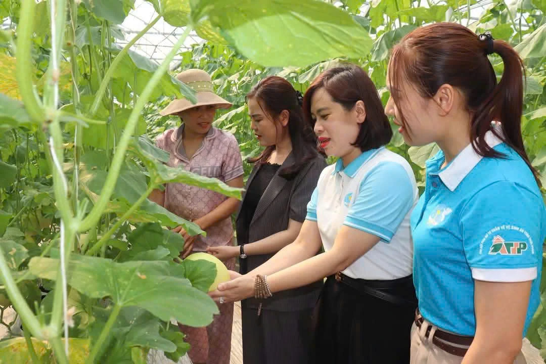 Kiểm tra phát huy hiệu quả sử dụng nguồn vốn vay