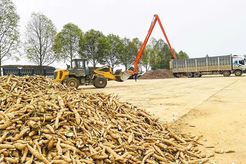 Phát triển vùng nguyên liệu bền vững - Hướng tới chuỗi giá trị toàn cầu (Bài cuối): Giải pháp nào để “giữ chân” các vùng nguyên liệu?