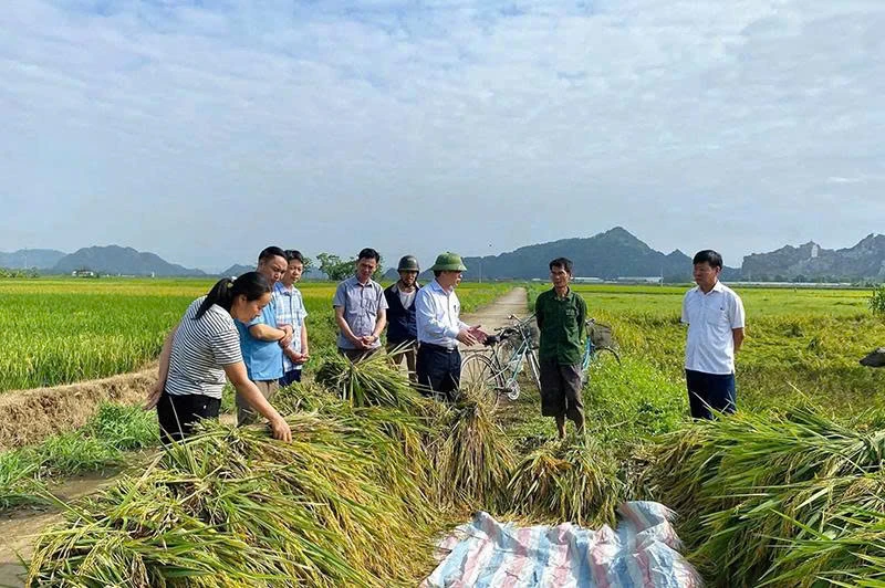 Quý Lộc cụ thể hóa nghị quyết bằng các chương trình hành động sát thực tiễn