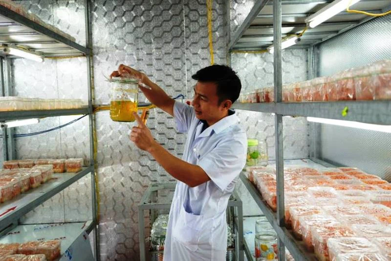 Khó khăn xây dựng điểm trưng bày, bán sản phẩm OCOP tại các điểm du lịch