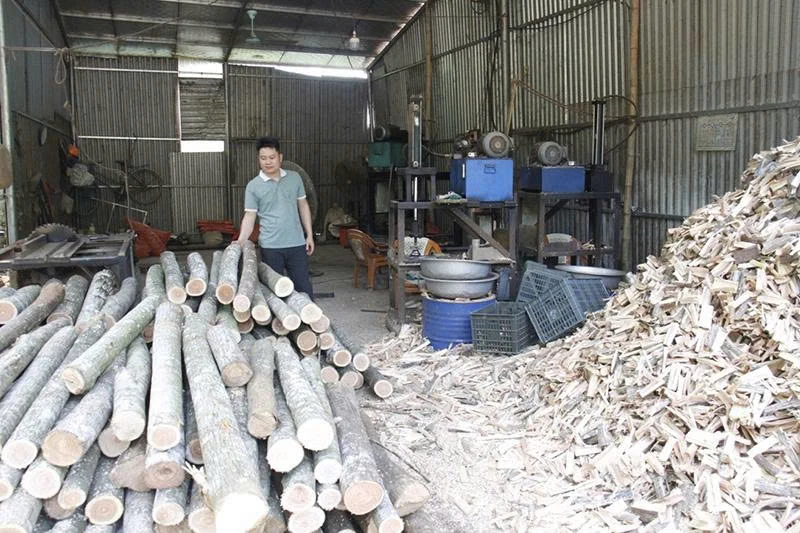 Trưởng thôn 8X đi đầu trong phát triển kinh tế