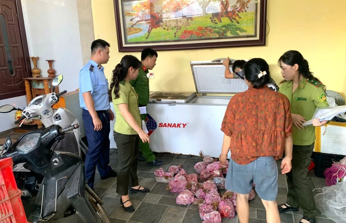 Phát hiện, thu giữ 290 cá thể cò hương cấp đông chờ tiêu thụ