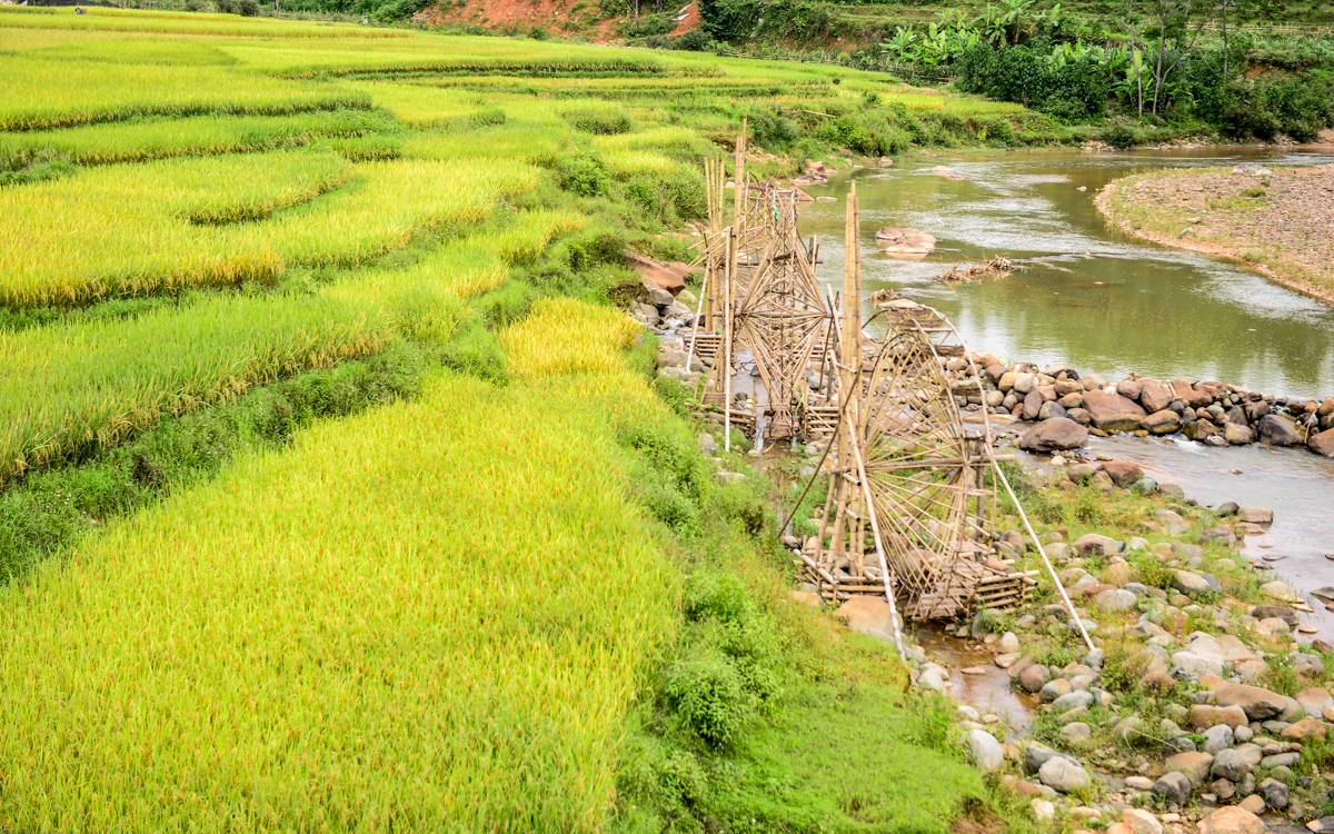 Mường Đeng đẹp như tranh giữa đại ngàn xứ Thanh