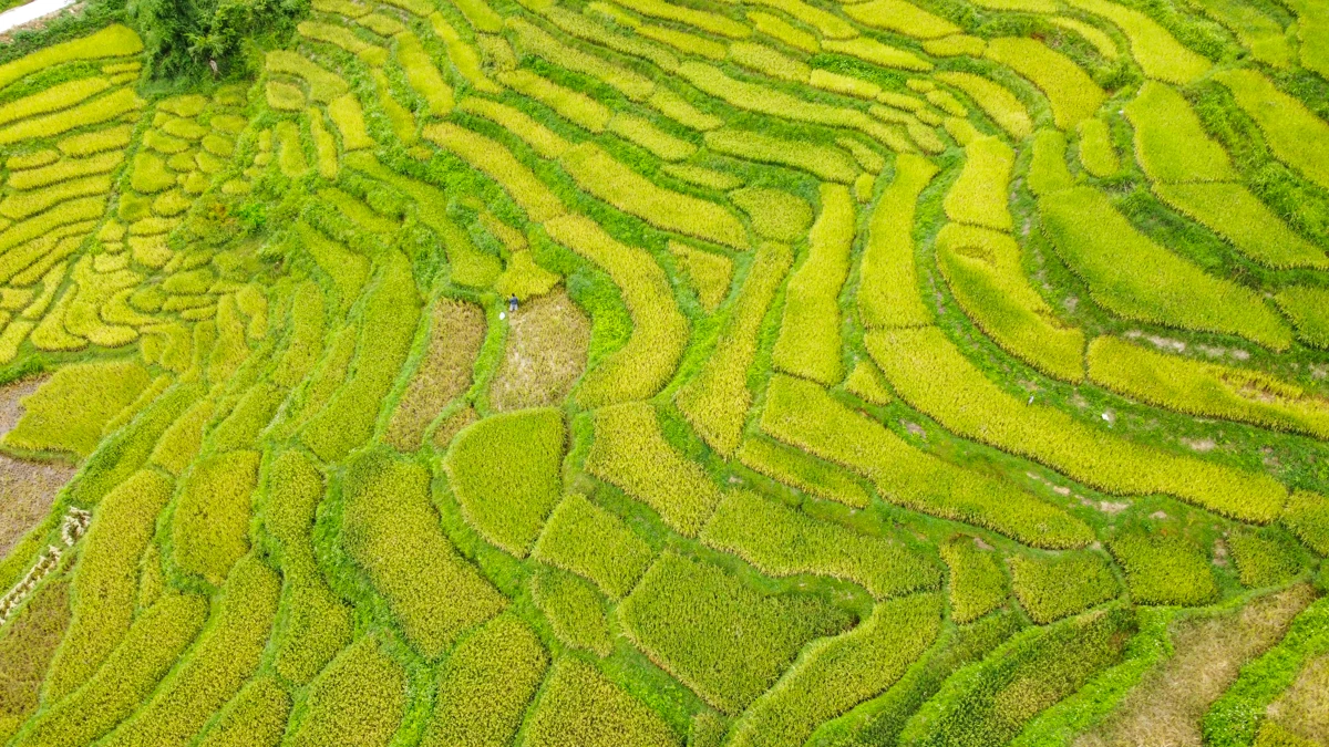 Mường Đeng đẹp như tranh giữa đại ngàn xứ Thanh