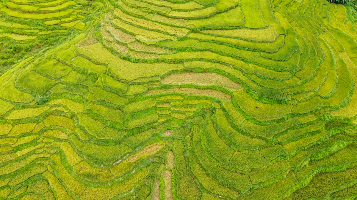 Mường Đeng đẹp như tranh giữa đại ngàn xứ Thanh