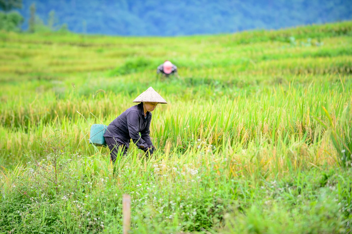 Mường Đeng đẹp như tranh giữa đại ngàn xứ Thanh