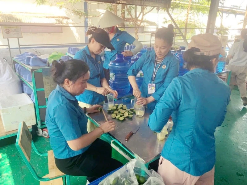 Chăm lo, bảo vệ sức khỏe người lao động trong thời tiết nắng nóng