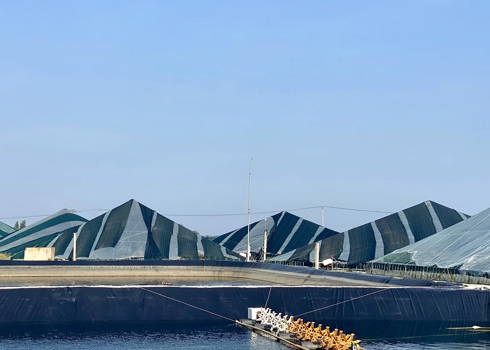 Chủ động ứng phó với nắng nóng, bảo vệ diện tích nuôi trồng thủy sản