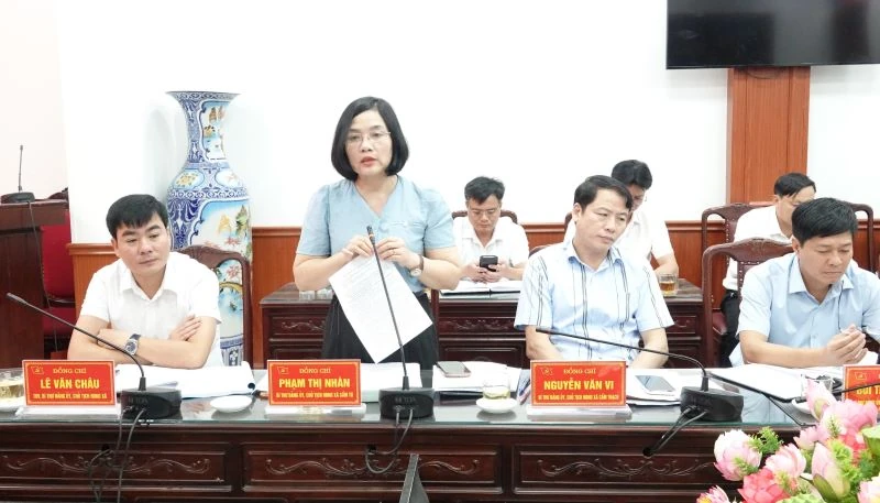Đoàn kiểm tra của Ban Thường vụ Tỉnh ủy làm việc với 5 xã
