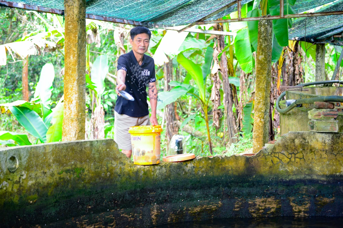 Người đàn ông chi tiền tỷ dẫn nước từ đỉnh Pù Rinh nuôi cá tầm