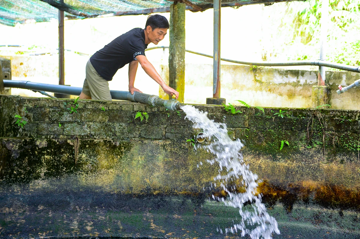 Người đàn ông chi tiền tỷ dẫn nước từ đỉnh Pù Rinh nuôi cá tầm
