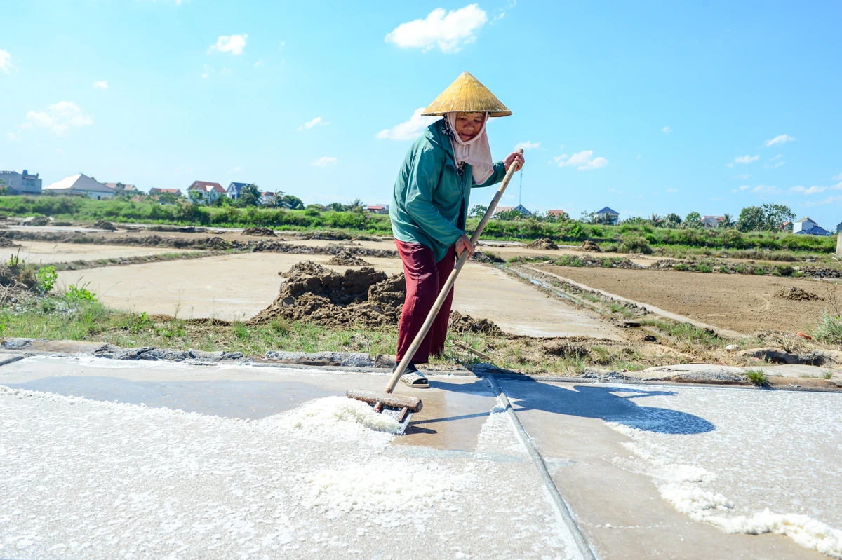Nắng nung mặt ruộng, diêm dân vẫn bám nghề