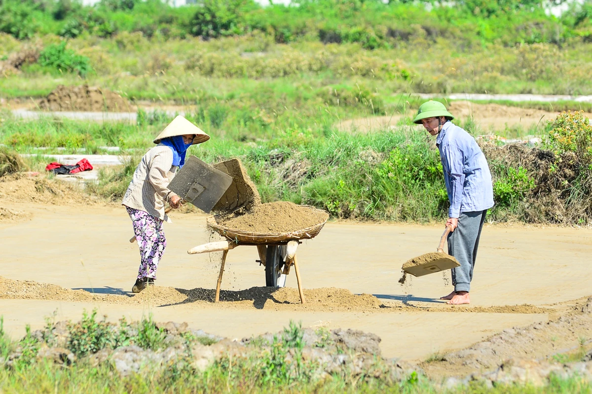 Nắng nung mặt ruộng, diêm dân vẫn bám nghề