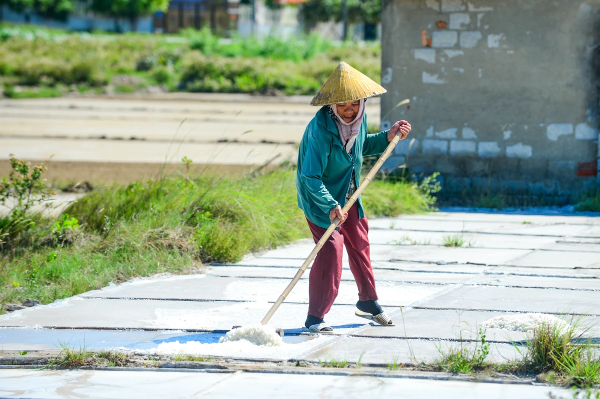 Nắng nung mặt ruộng, diêm dân vẫn bám nghề