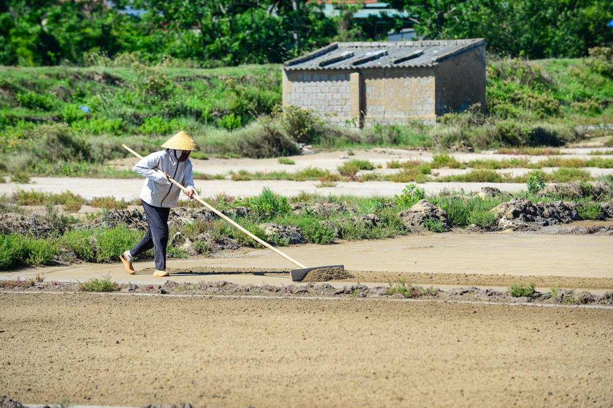 Nắng nung mặt ruộng, diêm dân vẫn bám nghề