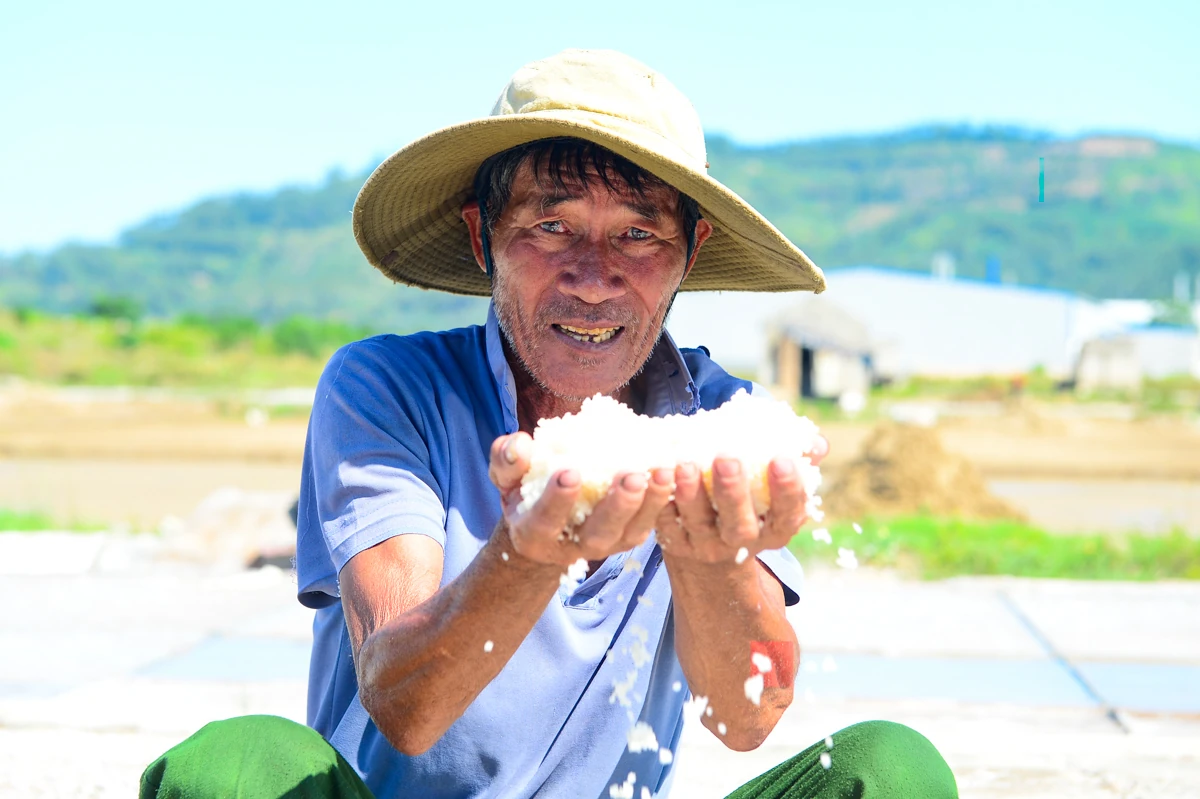 Nắng nung mặt ruộng, diêm dân vẫn bám nghề