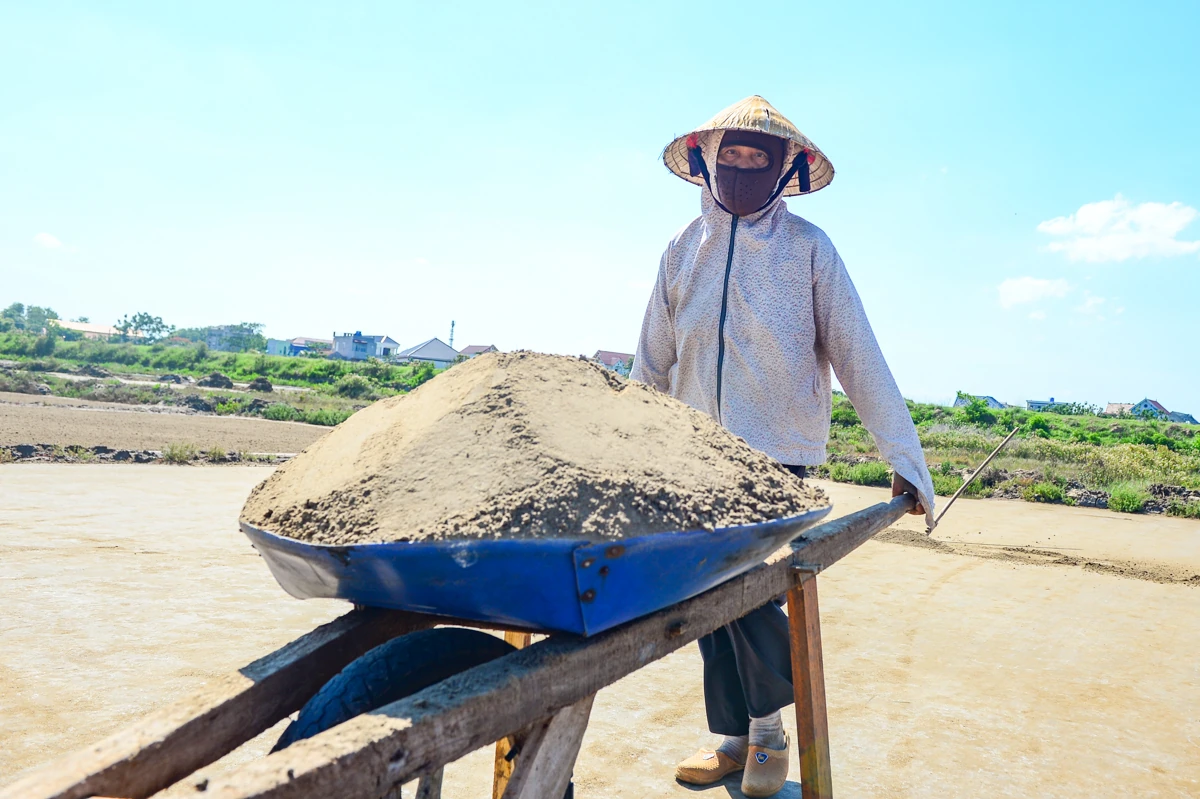 Nắng nung mặt ruộng, diêm dân vẫn bám nghề