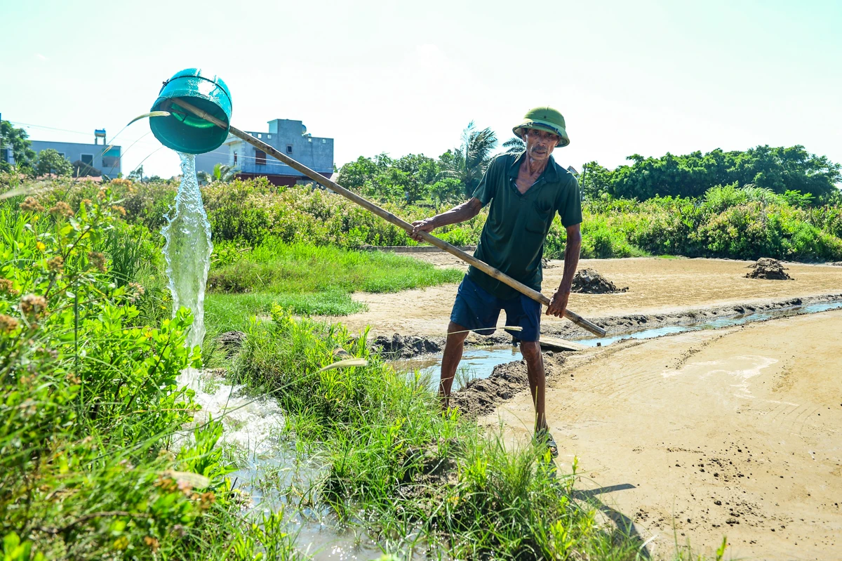 Nắng nung mặt ruộng, diêm dân vẫn bám nghề
