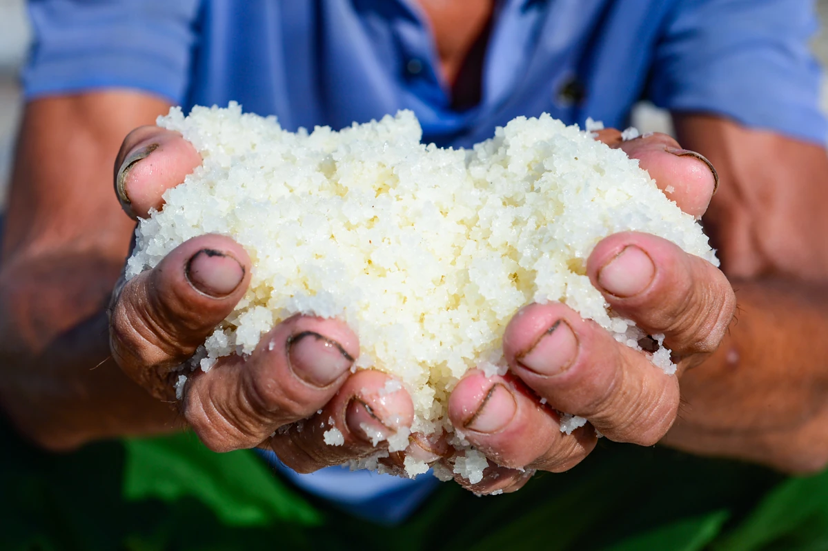 Nắng nung mặt ruộng, diêm dân vẫn bám nghề