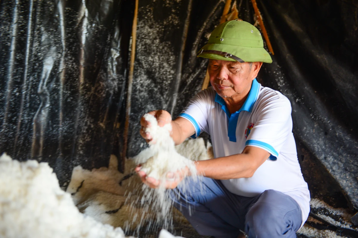 Nắng nung mặt ruộng, diêm dân vẫn bám nghề