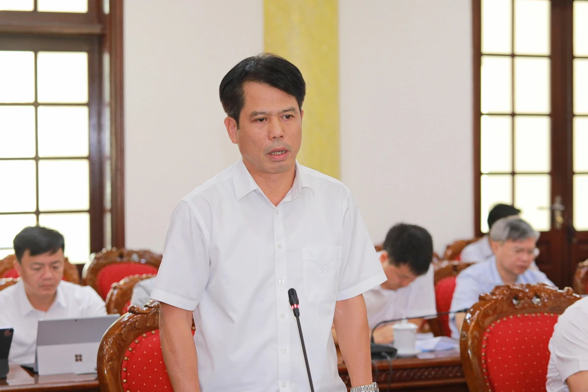 Ban Thường vụ Tỉnh ủy cho ý kiến về phương án sắp xếp thôn, tổ dân phố trên địa bàn tỉnh