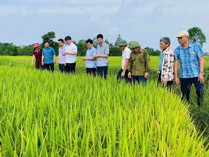 Yên Định đưa nghị quyết vào cuộc sống bằng hành động cụ thể