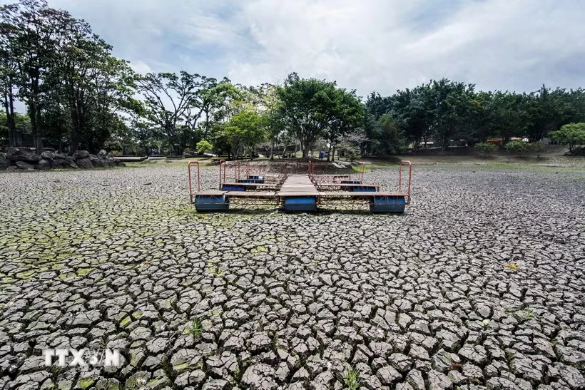 WMO cảnh báo El Nino sớm hình thành, gia tăng nguy cơ thời tiết cực đoan