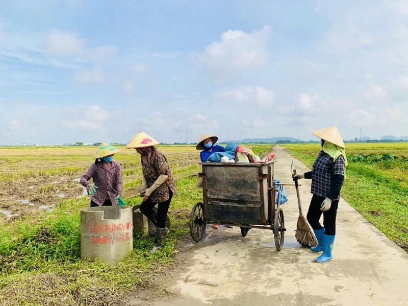 Cánh đồng không rác thải