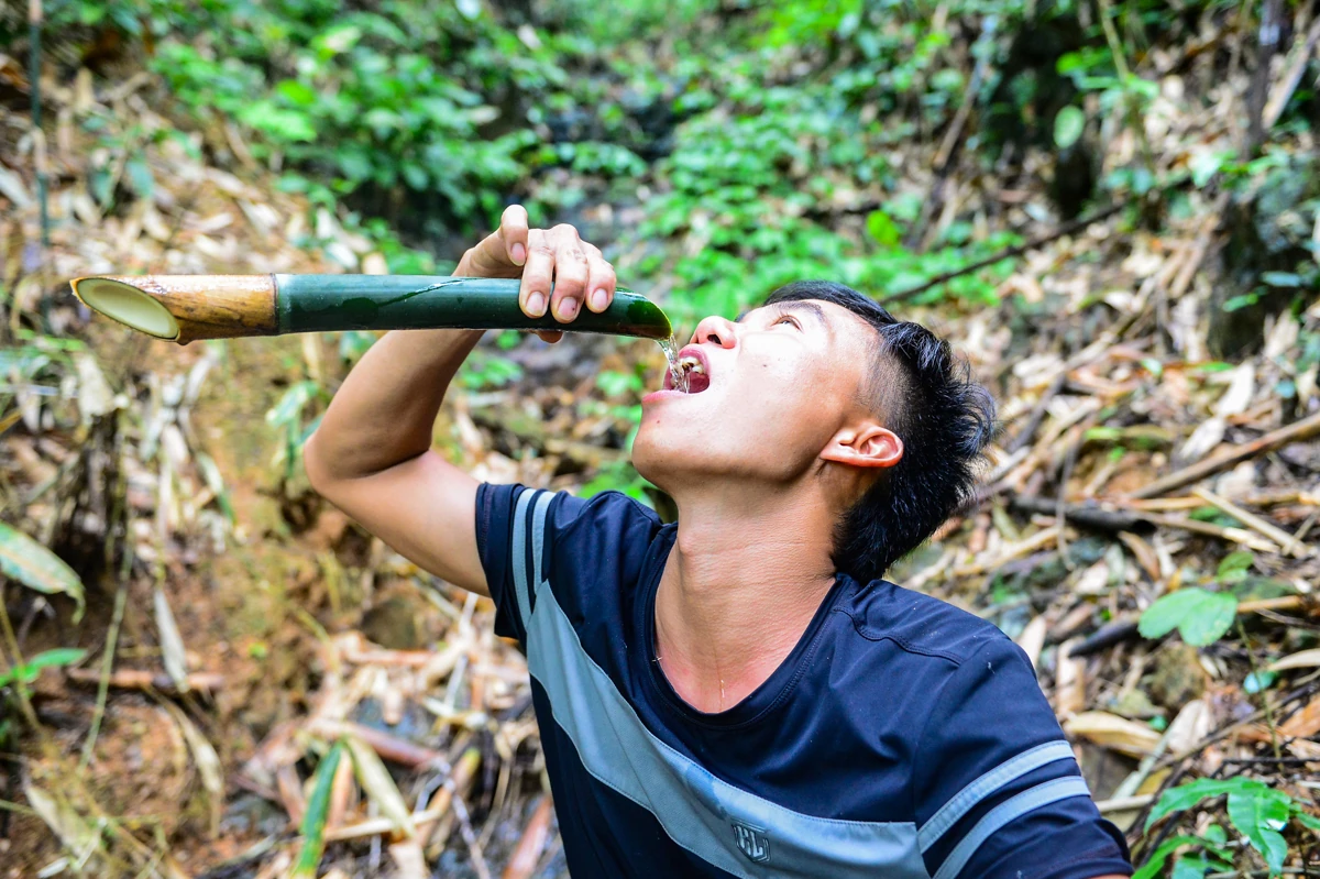 Theo chân thợ săn ong rừng giữa đại ngàn xứ Thanh