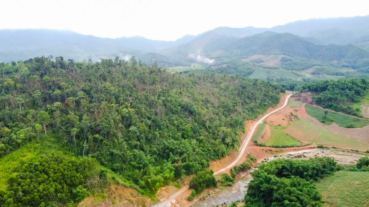 Theo chân thợ săn ong rừng giữa đại ngàn xứ Thanh