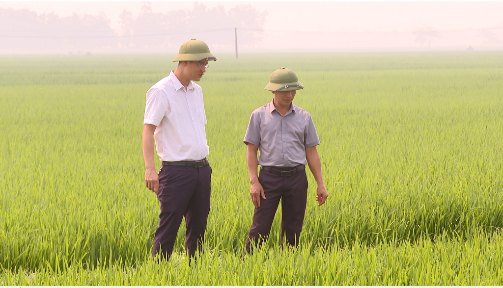 Thiệu Tiến hiện thực hóa mục tiêu Nghị quyết đại hội Đảng bộ xã