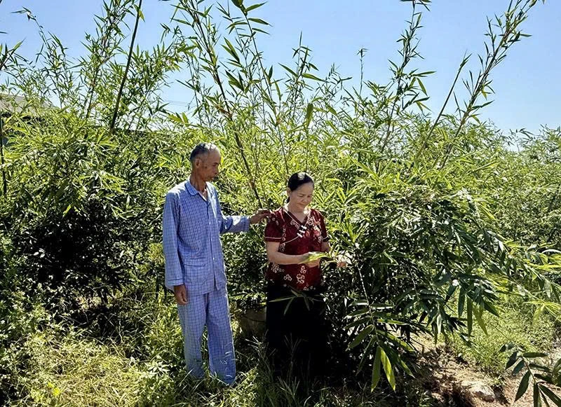 Lan tỏa phong trào thi đua “Tuổi cao - gương sáng” ở phường Đông Sơn