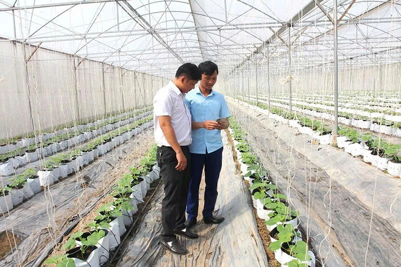 Chú trọng nâng cao kiến thức, kỹ năng số cho thành viên HTX
