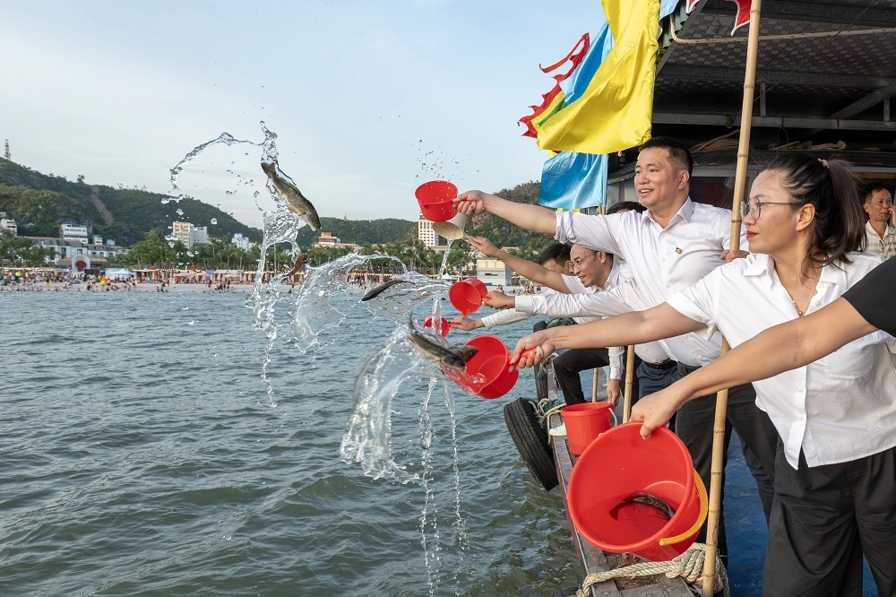 Du khách ùn ùn đổ về Lễ hội biển Cát Bà khuấy động Vịnh trung tâm